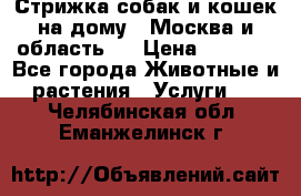 Стрижка собак и кошек на дому.  Москва и область.  › Цена ­ 1 200 - Все города Животные и растения » Услуги   . Челябинская обл.,Еманжелинск г.